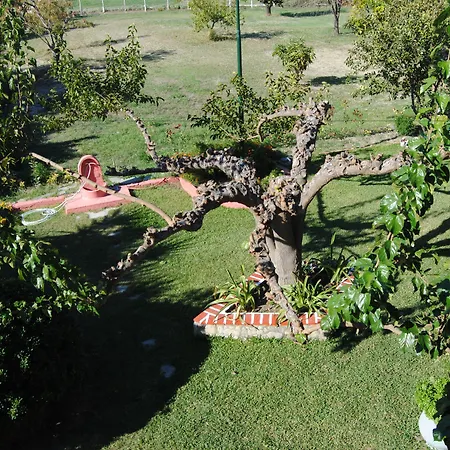 Marianna Sea View * Áfitosz